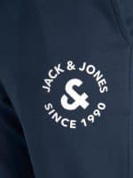 JACKJONES JACHUDSON SWEATPANTS - Image 3