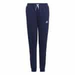 ADIDAS  ENT22 SW PNTY