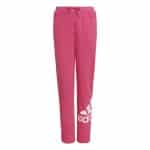 ADIDAS G BL FT O PT        TEREMA/CLPINK
