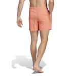 ADIDAS SOLID CLX SH SL - Image 2