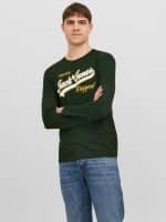 JACK  JONES JJELOGO TEE LS O-NECK 2 COL AW23 SN