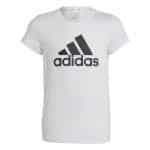 ADIDAS G BL T              WHITE/BLACK