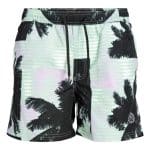 JACKJONES JPSTFIJI JJSWIM CORE