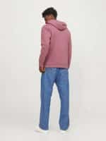 JACK  JONES JJELOGO SWEAT HOOD 2 COL 23/24 NOOS - Image 2