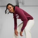 PUMA ESS Logo Hoodie FL s - Image 5
