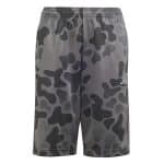 ADIDAS J TR-ES AOP SH      GRESIX/BLACK/GREFOU