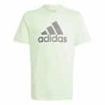 ADIDAS U BL TEE            SEGRSP/CHACOA