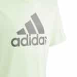 ADIDAS U BL TEE            SEGRSP/CHACOA - Image 3