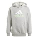 ADIDAS U BL 2 HOODIE       MGREYH/WHITE/SEGRSP