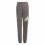 ADIDAS U BL PANT           CHACOA/SEGRSP