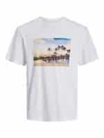 JACKJONES JORTAMPA GRAPHIC TEE SS CREW NECK - Image 7