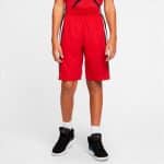 AIR JORDAN HBR BBALL SHORT