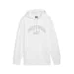 PUMA ESS+ LOGO LAB Gradient Hoodie FL