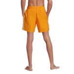 ADIDAS 3-STRIPES SWIMS     BORANG - Image 2