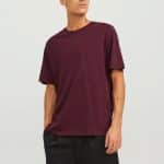 JACK  JONES JJEORGANIC BASIC TEE SS O-NECK NOOS