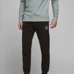 JACK  JONES JPSTGORDON JJSHARK SWEAT PANTS AT