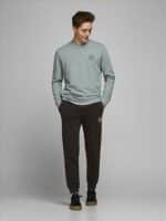 JACK  JONES JPSTGORDON JJSHARK SWEAT PANTS AT - Image 3