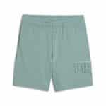 PUMA ESS LOGO LAB Execution Shorts TR B - Image 4