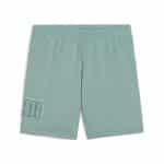 PUMA ESS LOGO LAB Execution Shorts TR B - Image 5