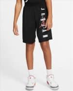 JORDAN VERT MESH SHORT