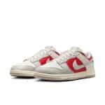NIKE DUNK LOW LIGHT IRON ORE GYM RED - Image 3