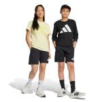 ADIDAS KIDS J BL KN SH 210      BLACK/WHITE