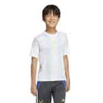 ADIDAS KIDS MESSI TR JSY Y      WHITE/ALMBLU - Image 3