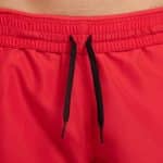 NIKE 5 Volley Short - Image 4