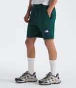THE NORTH FACE M BOX NSE REGULAR SHORT - Image 3