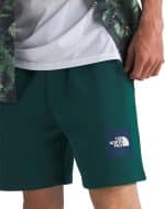 THE NORTH FACE M BOX NSE REGULAR SHORT - Image 4