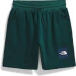 THE NORTH FACE M BOX NSE REGULAR SHORT - Image 6