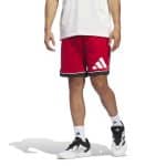 ADIDAS BOS SHORT           TMPWRD/BLACK