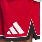ADIDAS BOS SHORT           TMPWRD/BLACK - Image 4