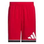 ADIDAS BOS SHORT           TMPWRD/BLACK - Image 6