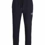 JACKJONES JPSTGORDON MAKOTO SWEAT PANTS