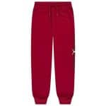 JORDAN KIDS JDB MJ BASELINE FLC PANT
