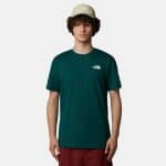 THE NORTH FACE M S/S BOX NSE CELEBRATION TEE