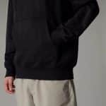 THE NORTH FACE M RAGLAN BOX NSE RG HD TNFBLACK/T, Small - Image 6