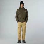 THE NORTH FACE M QUEST HD SOFTSHELL NWTPGNDH/NW, Medium - Image 6
