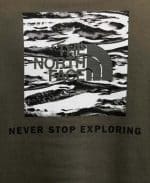THE NORTH FACE M BOX NSE EDGE OF LIGHT New Taupe, Small - Image 3