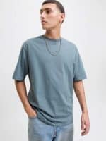 JACKJONES JJEBRADLEY TEE SS O-NECK NOOS - Image 5