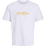 JACKJONES JORCATSKILLS BALLON TEE SS CN FST