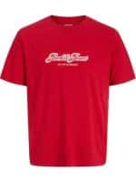 JACKJONES JORCATSKILLS BALLON TEE SS CN FST