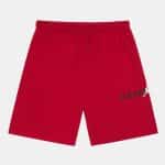 JORDAN MJ BASELINE FLC SHORT