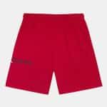 JORDAN MJ BASELINE FLC SHORT - Image 2