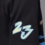 JORDAN DYNASTY PATCH - Image 5
