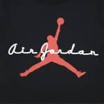 JORDAN FLIGHT ESSENTIALS SCRIPT - Image 3