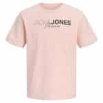 JACKJONES JPRBLANEO SS TEE FST