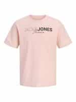 JACKJONES JPRBLANEO SS TEE FST