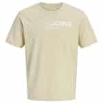 JACKJONES JPRBLANEO SS TEE FST